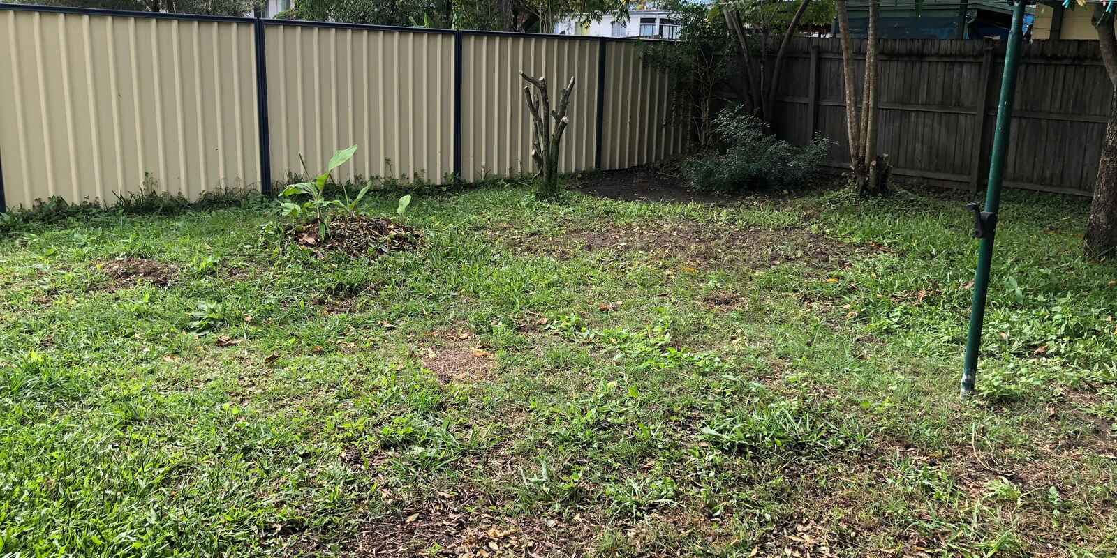 43 Moon Street Caboolture South