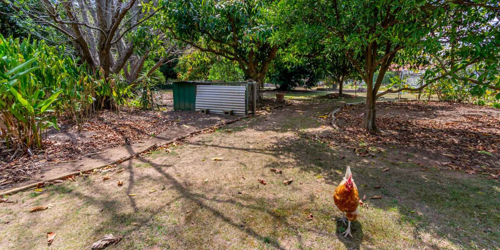 17 Ann Maree Drive Caboolture