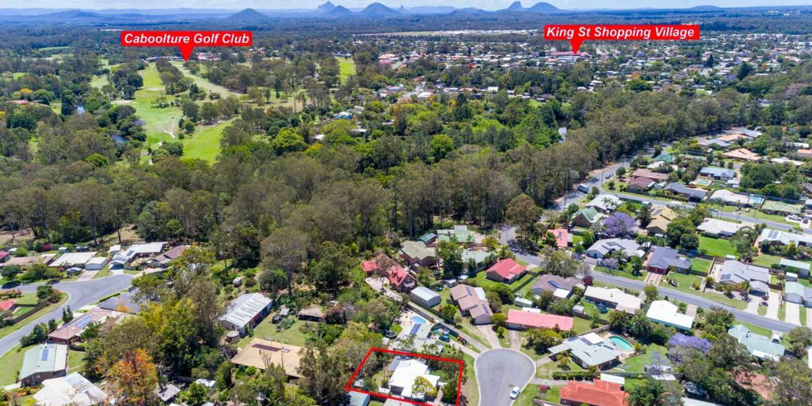 13 Whipbird Court Bellmere