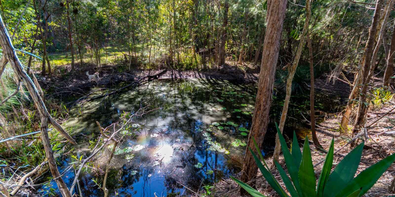 233 Smiths Road Caboolture 233 Smiths Road Caboolture