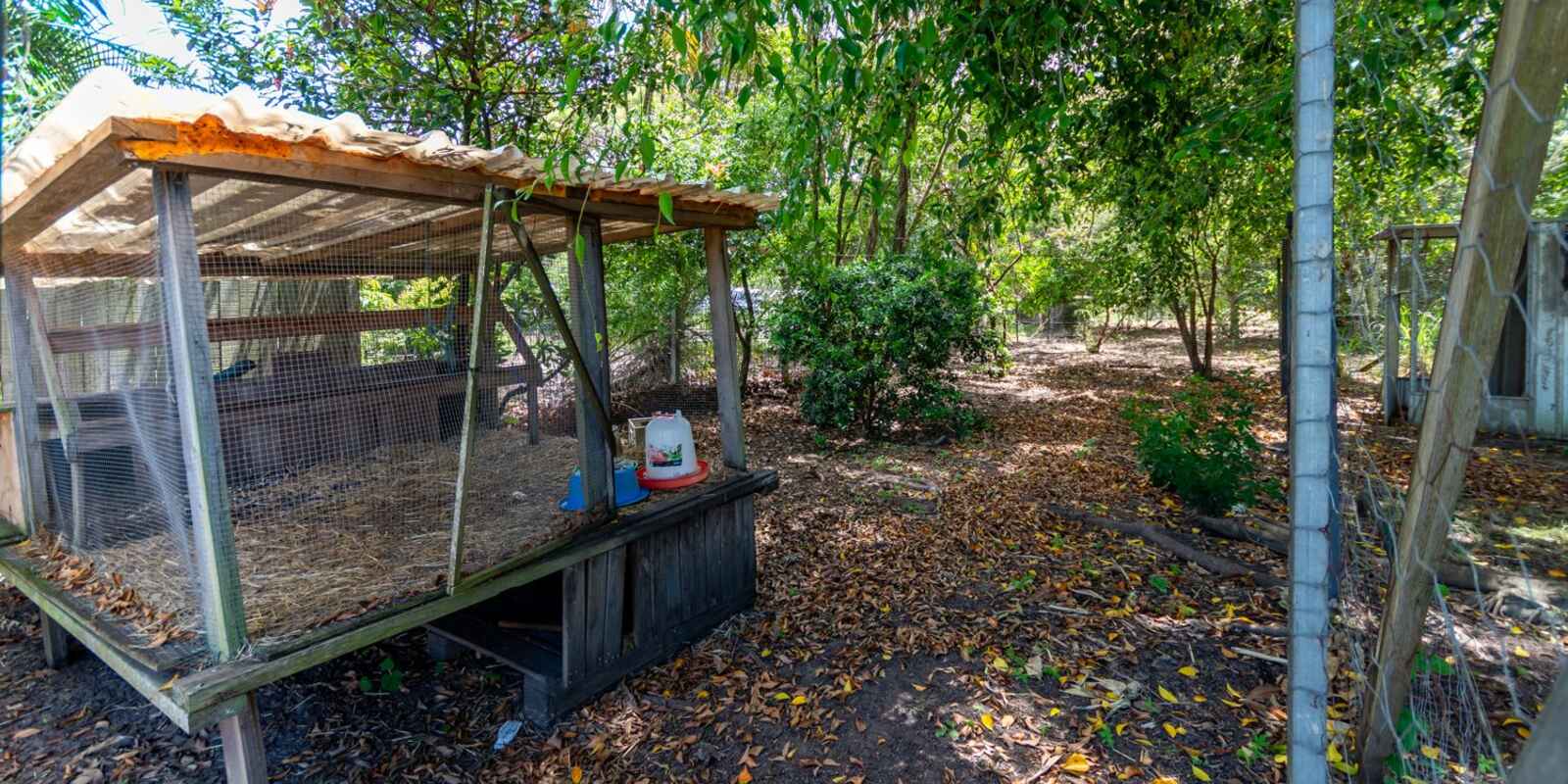 6-8 Calypso Court Godwin Beach