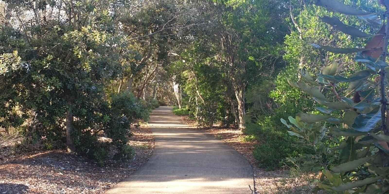 6-8 Calypso Court Godwin Beach