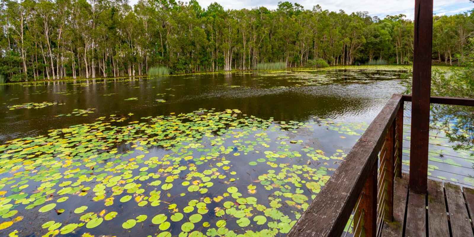 6-8 Calypso Court Godwin Beach