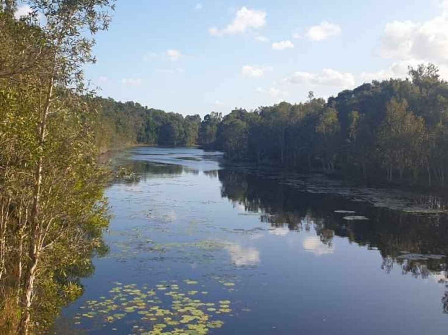 6-8 Calypso Court Godwin Beach