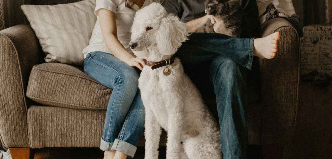 Preparing for Minimum Housing Standards - Tenanted Properties Preparing for Minimum Housing Standards - Tenanted Properties