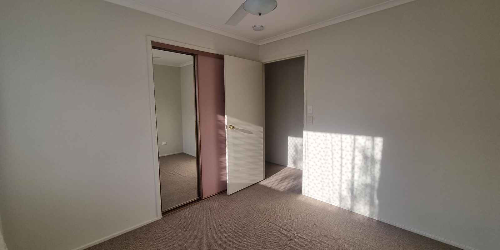 24 Pardalote Place Bellmere