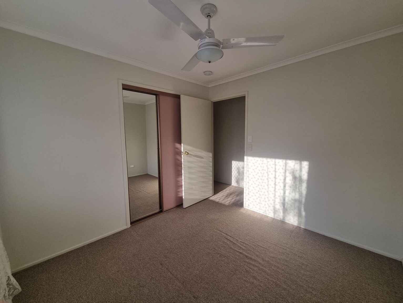 24 Pardalote Place Bellmere