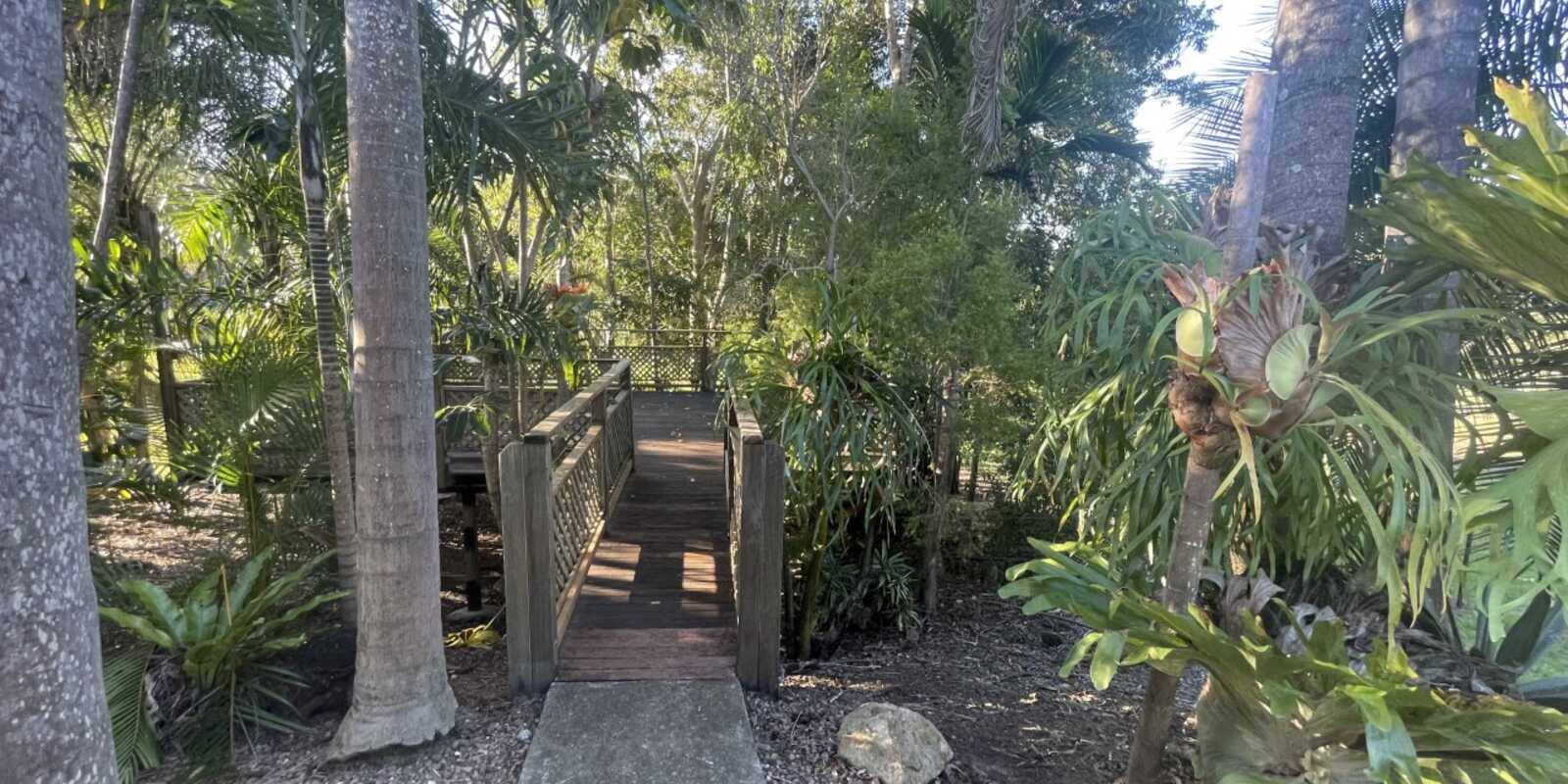 5 Honeyeater Court Upper Caboolture