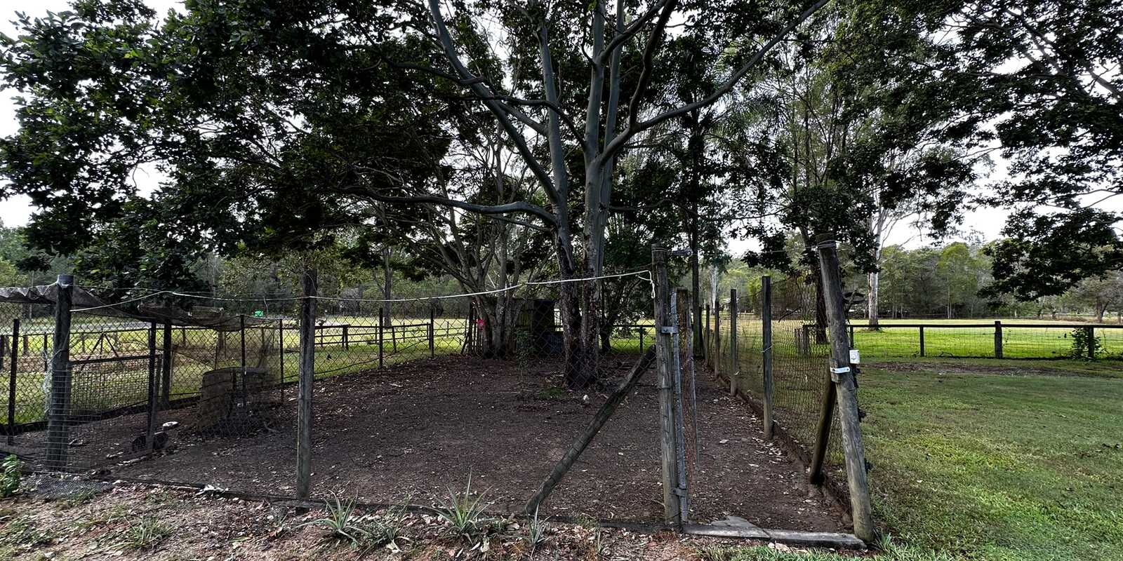 5 Honeyeater Court Upper Caboolture