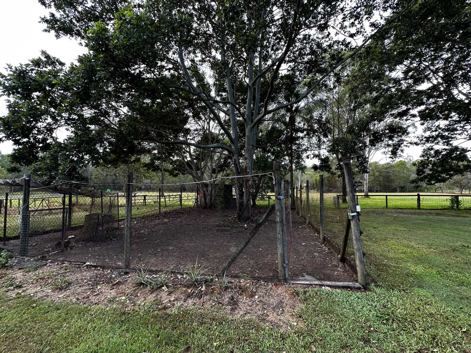 5 Honeyeater Court Upper Caboolture