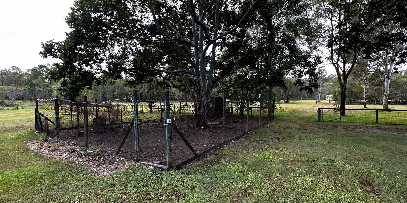 5 Honeyeater Court Upper Caboolture