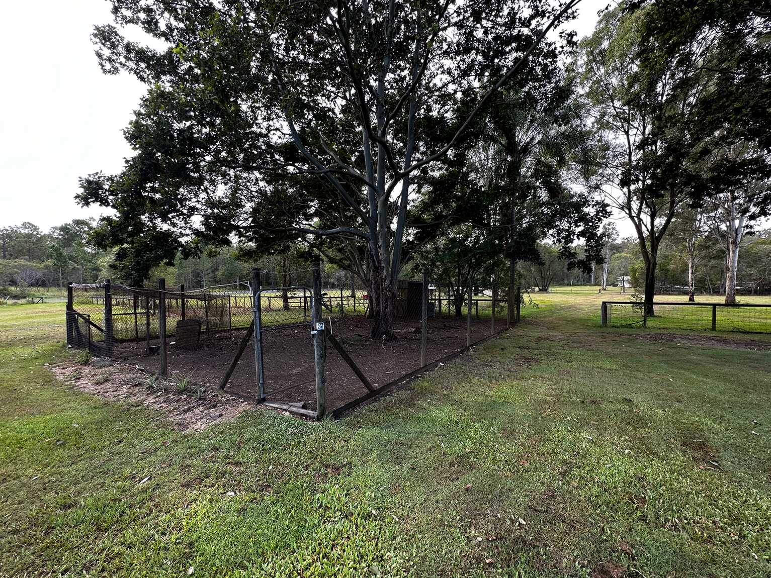 5 Honeyeater Court Upper Caboolture