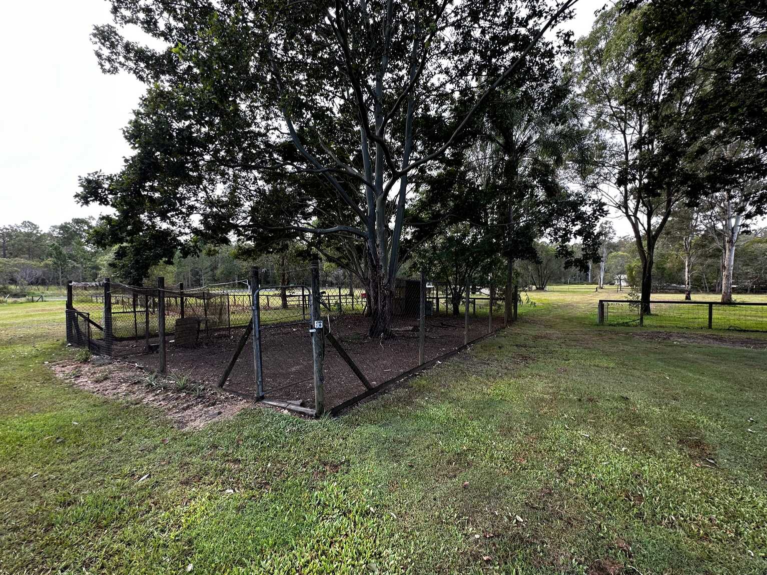 5 Honeyeater Court Upper Caboolture