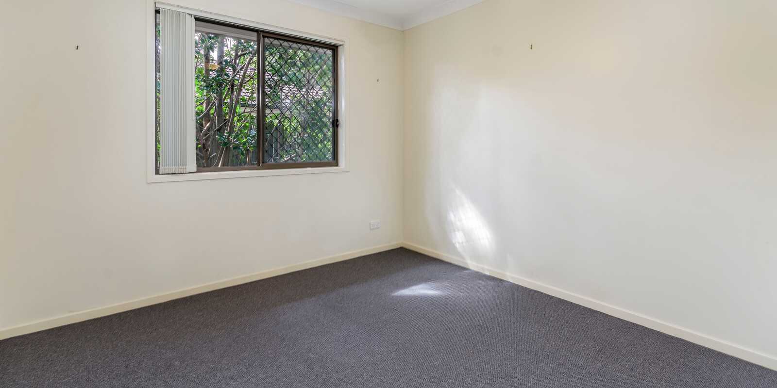 12 Piccadilly Street Bellmere