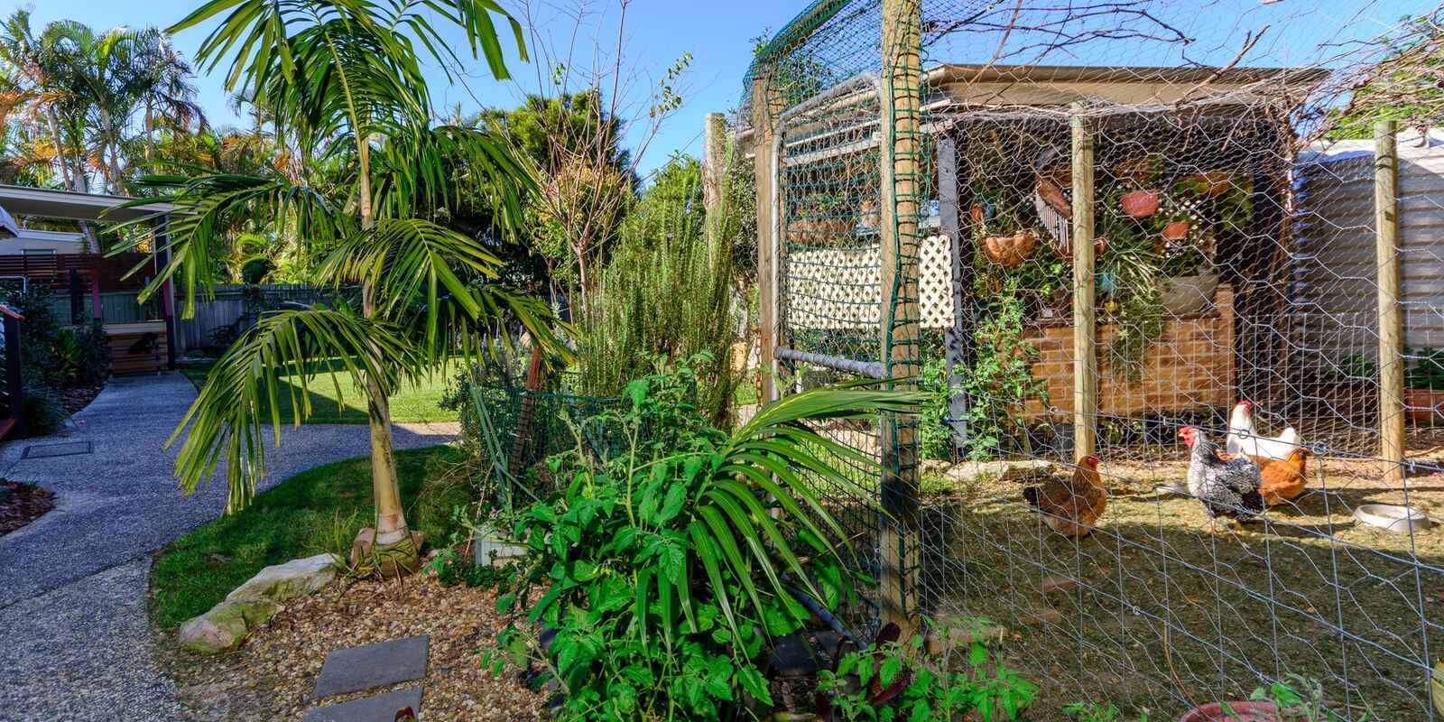 7 Bellwood Court Bellmere