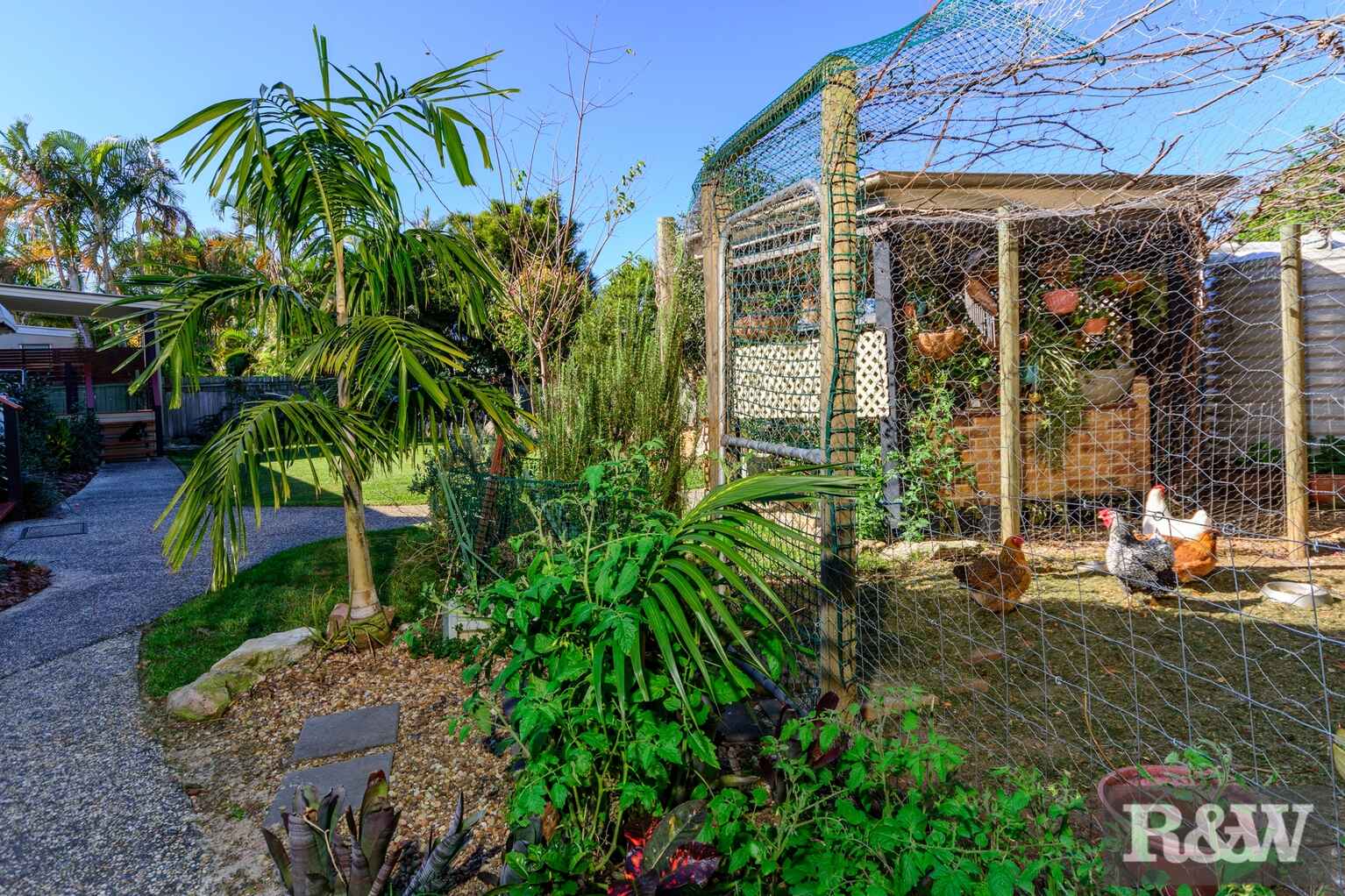 7 Bellwood Court Bellmere