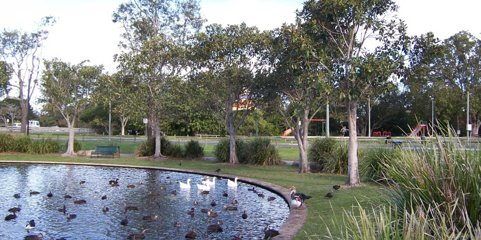 11 Cook Avenue Caboolture South