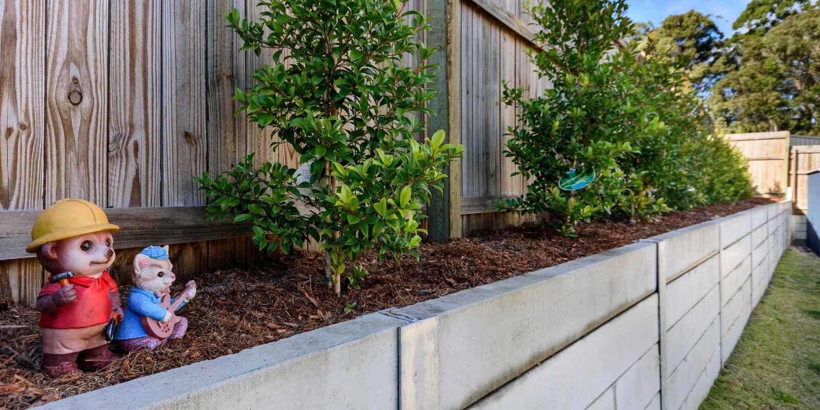 3 Bradman Street D'aguilar 3 Bradman Street D'aguilar