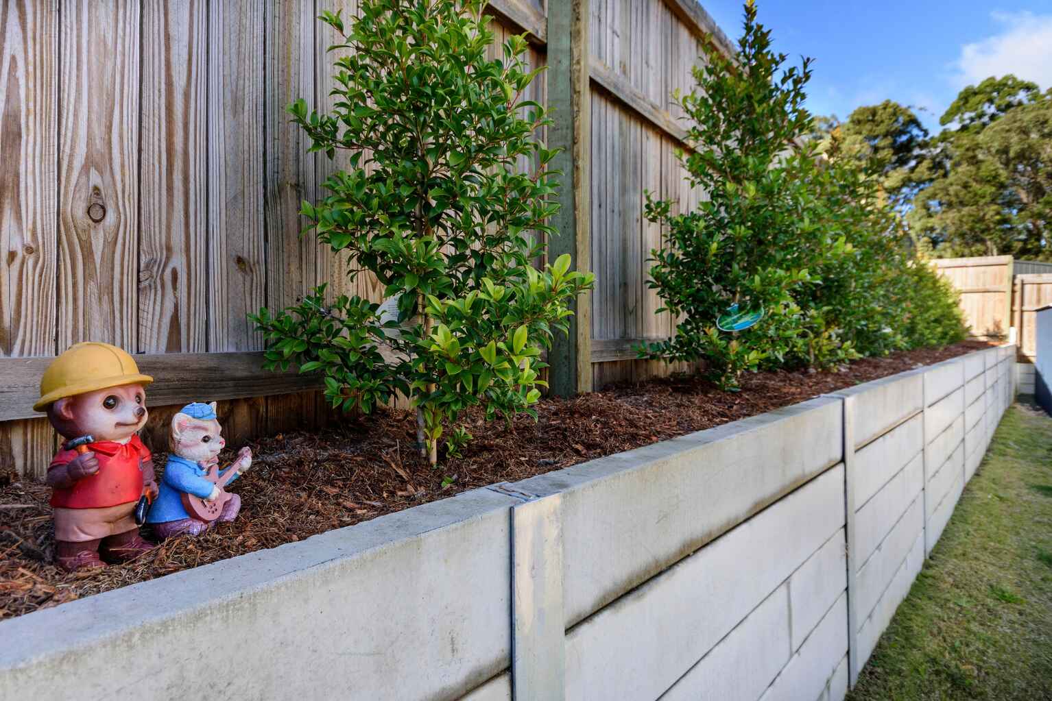 3 Bradman Street D'aguilar 3 Bradman Street D'aguilar