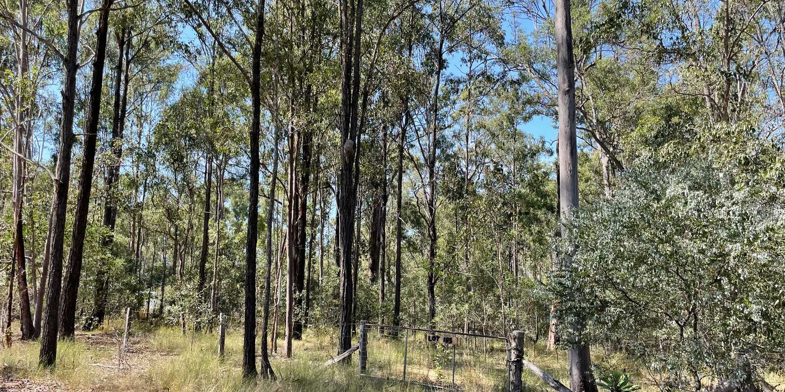 Lot 183 Arborthree Road Glenwood