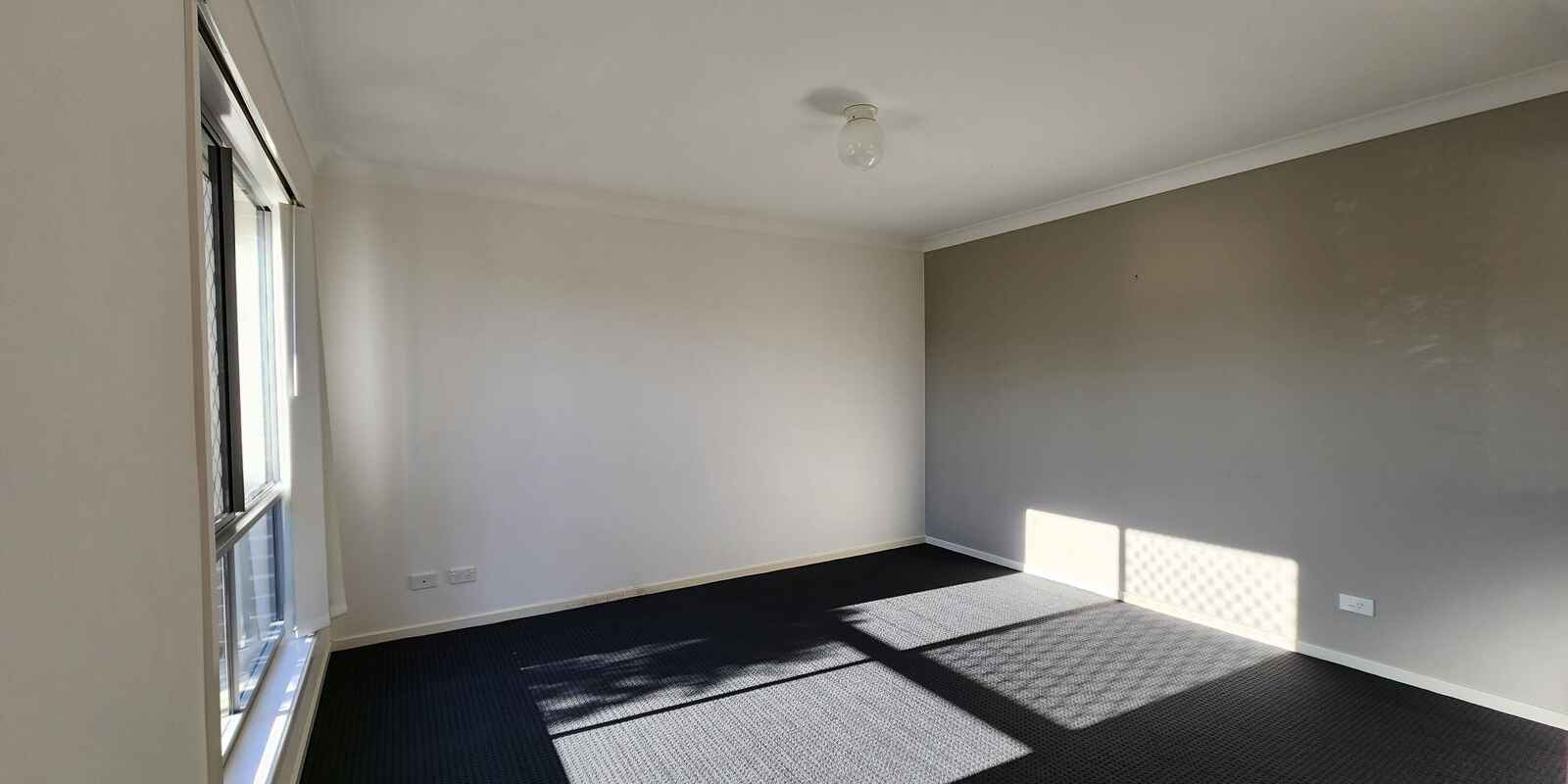 38 Piccadilly Street Bellmere