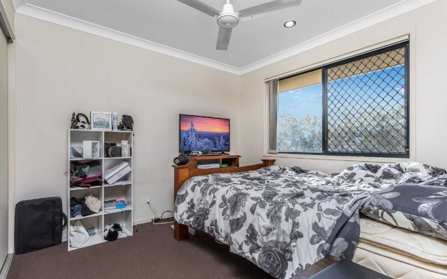 31-33 Daintree Street Bellmere