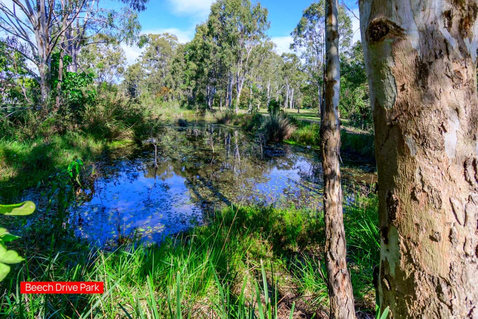 20 Beech Drive Morayfield