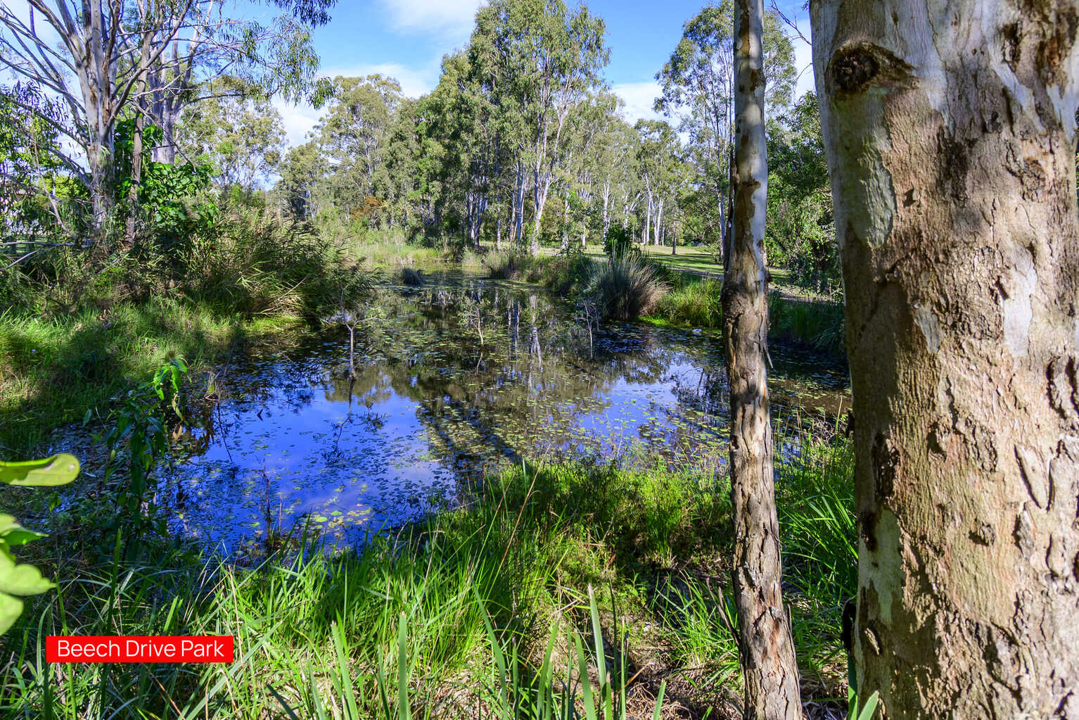20 Beech Drive Morayfield