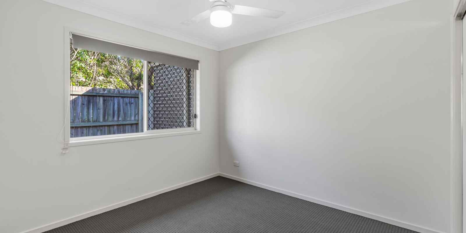 24 Piccadilly Street Bellmere