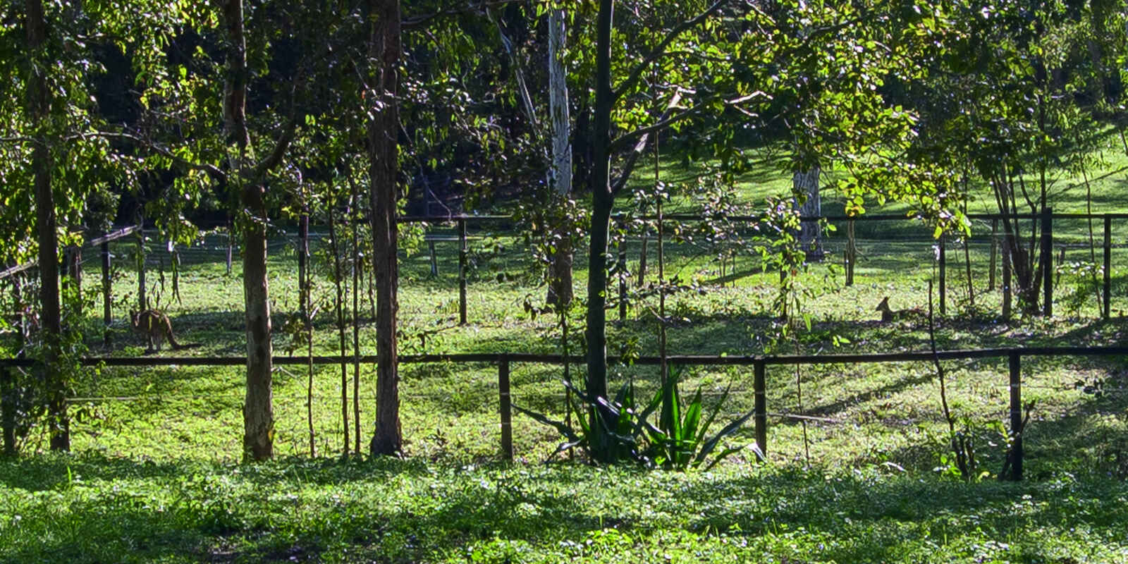 10 Harper Road Bellmere 10 Harper Road Bellmere