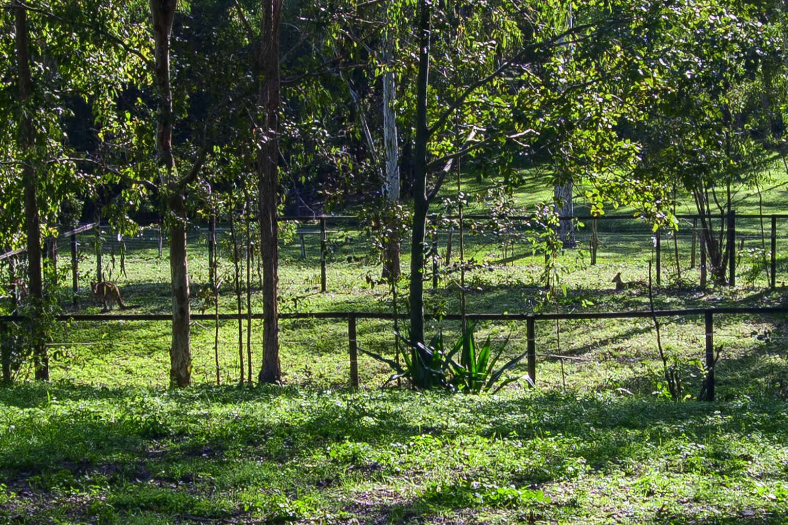 10 Harper Road Bellmere 10 Harper Road Bellmere