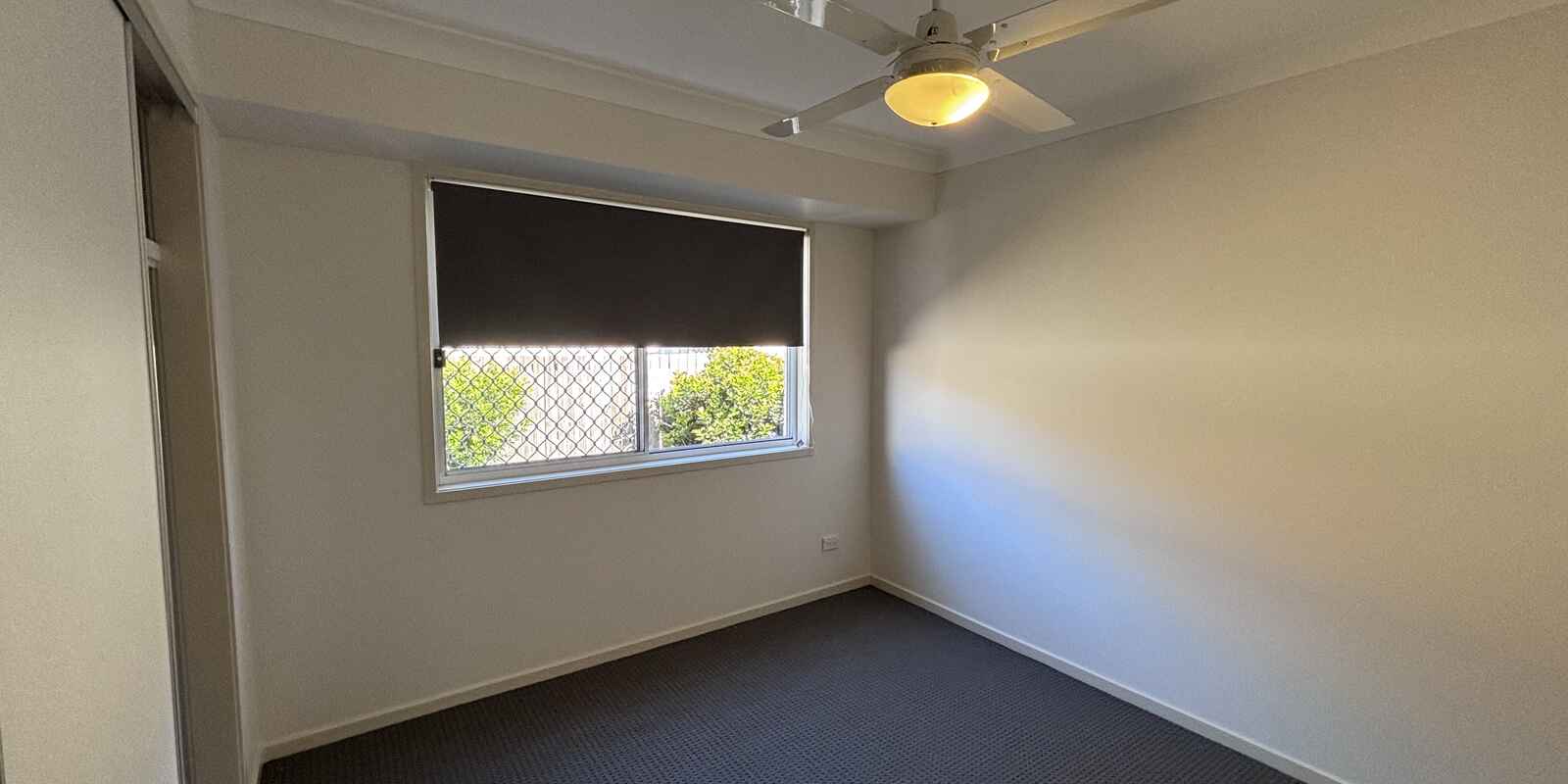 7 Piccadilly Street Bellmere