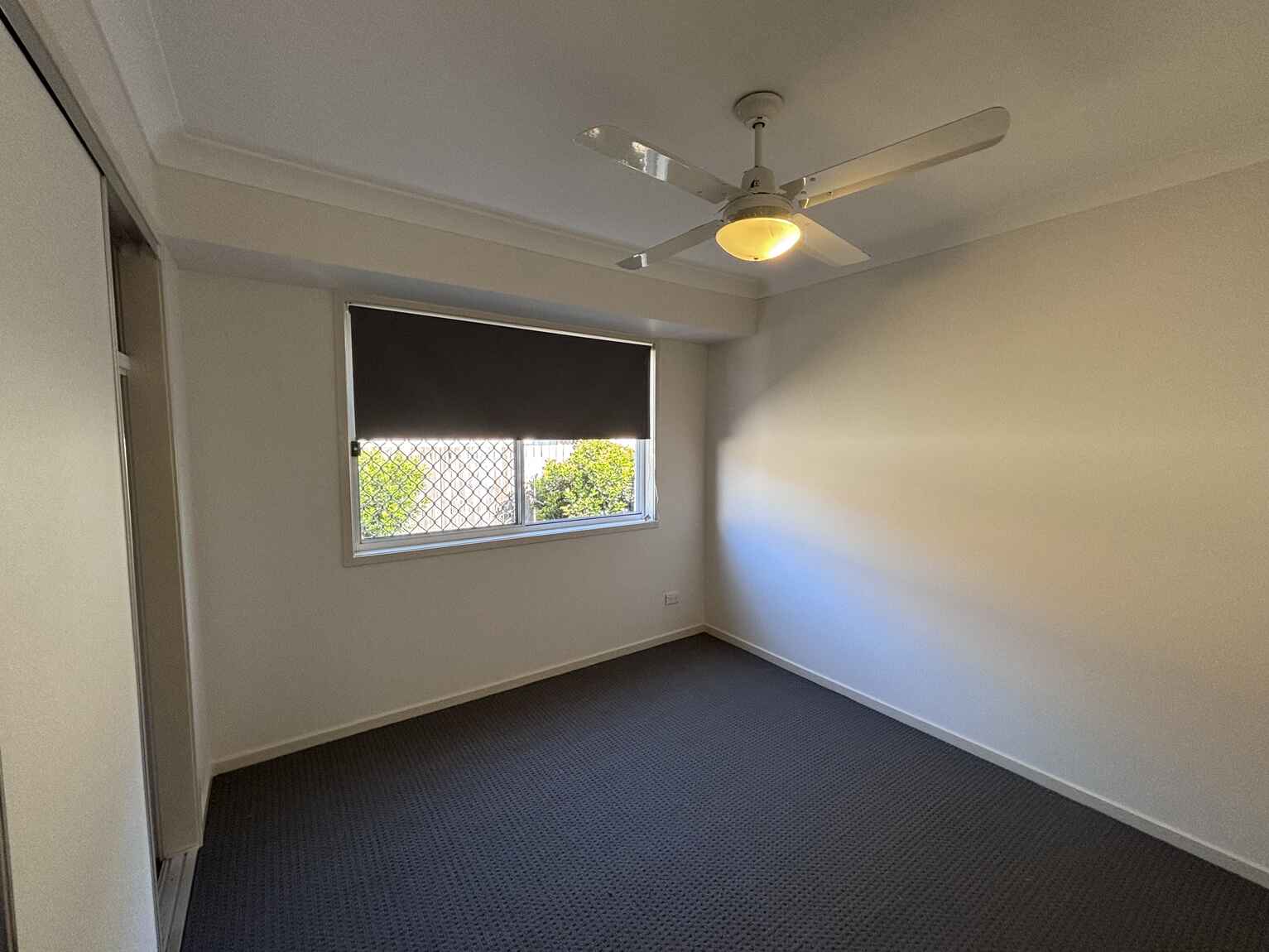 7 Piccadilly Street Bellmere