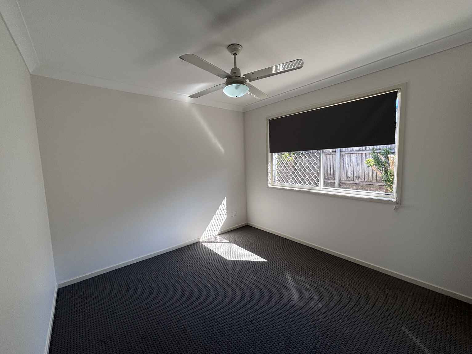 7 Piccadilly Street Bellmere